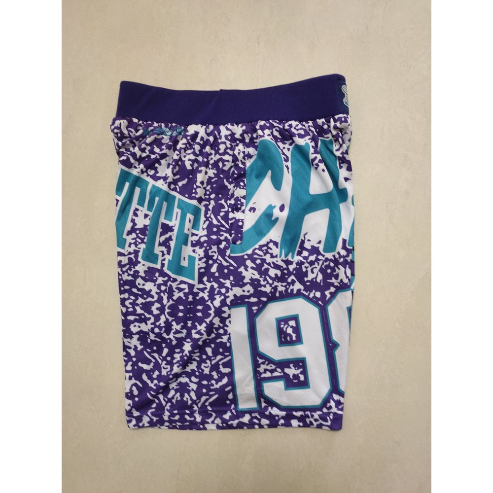 Charlotte Hornets Blue Shorts 2