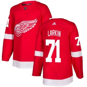 Men's Detroit Red Wings #71 Dylan Larkin Red Stitched NHL Jersey