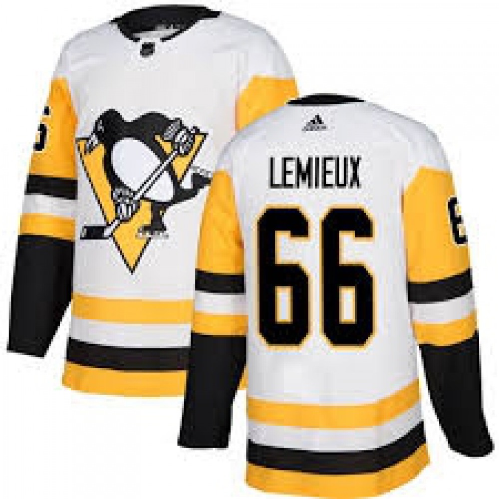 Men's Pittsburgh Penguins #66 Mario Lemieux White Stitched NHL Jersey 1