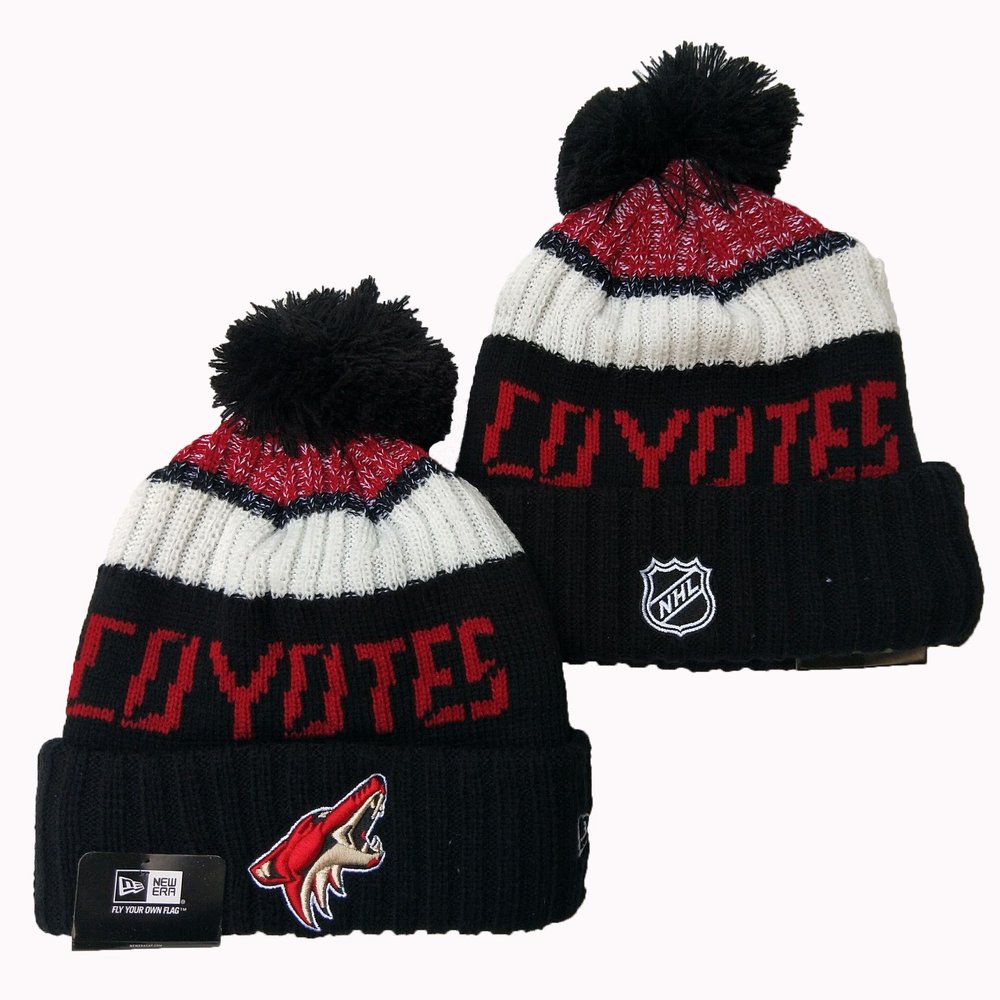Arizona Coyotes Beanies Knit Hat 1