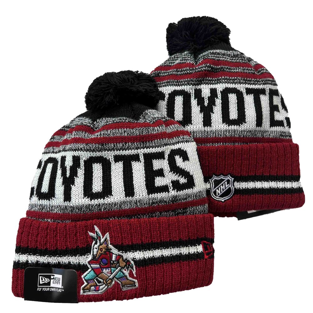 Arizona Coyotes Beanies Knit Hat 1