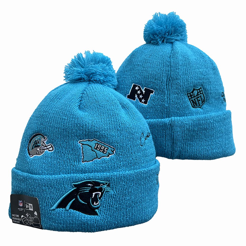 Carolina Panthers Beanies Knit Hat 1