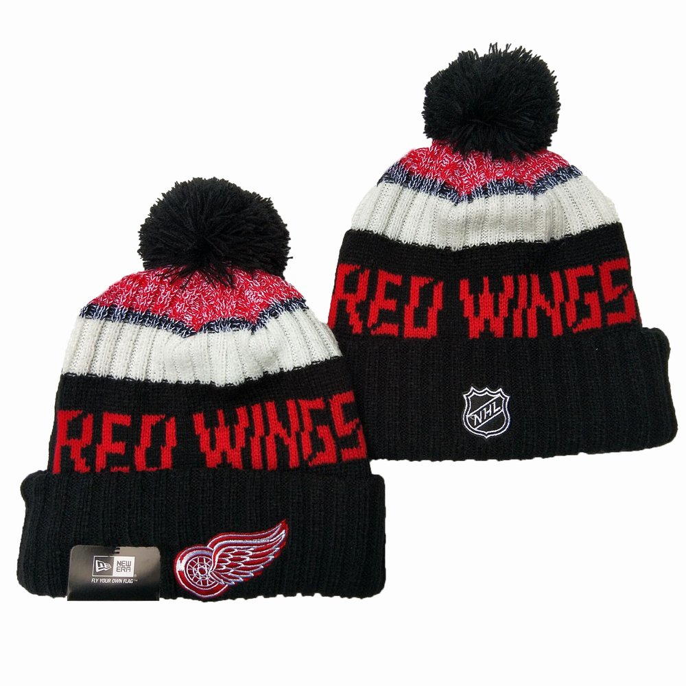 Detroit Red Wings Beanies Knit Hat 1