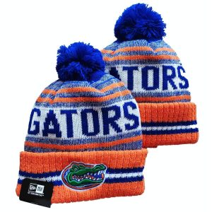 Florida Gators Beanies Knit Hat