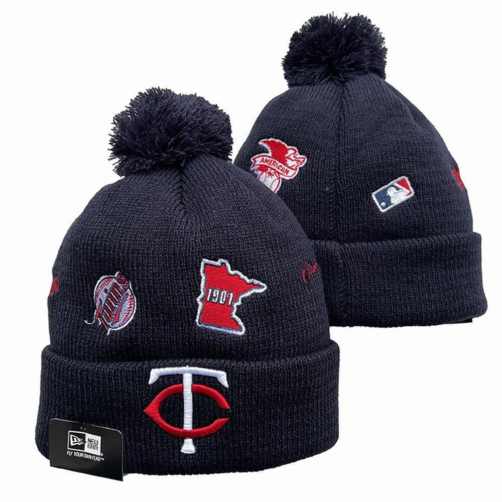 Minnesota Twins Beanies Knit Hat 1