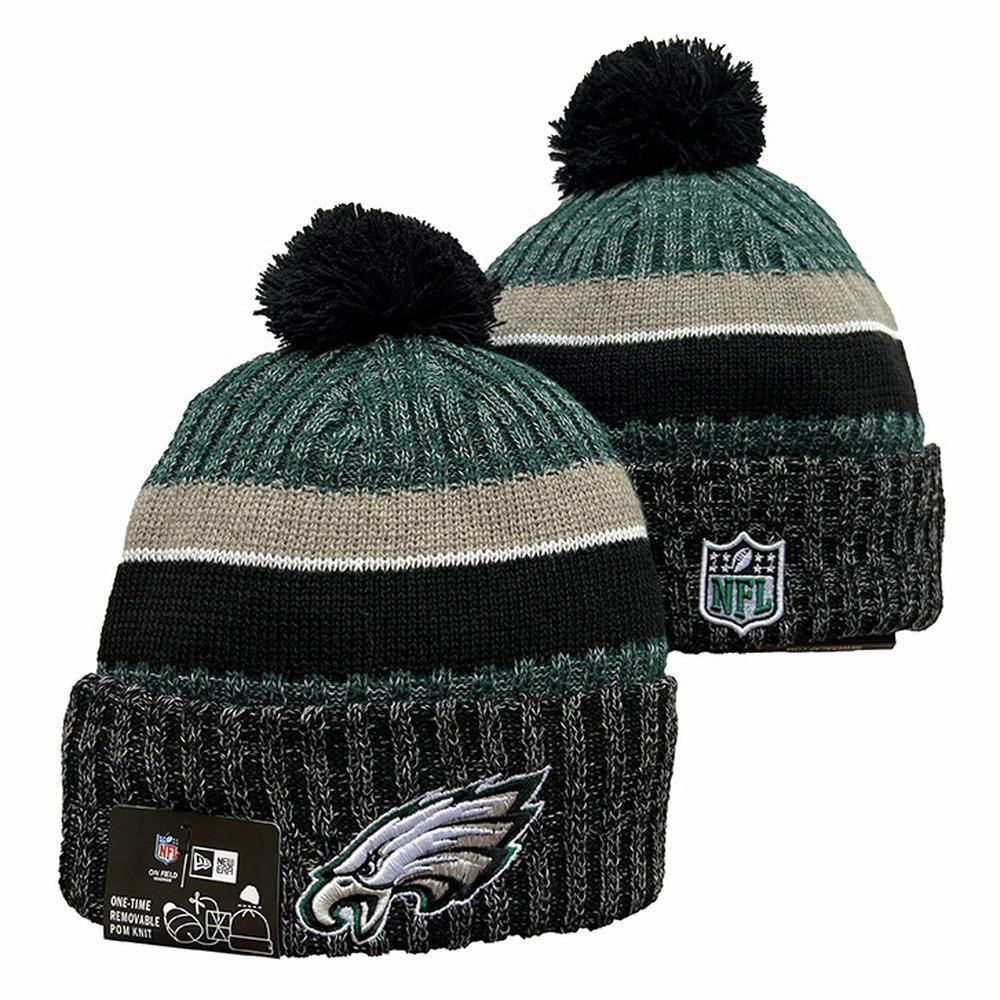 Philadelphia Eagles Beanies Knit Hat 1