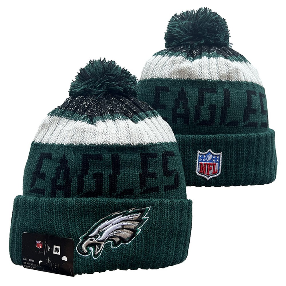 Philadelphia Eagles Beanies Knit Hat 1