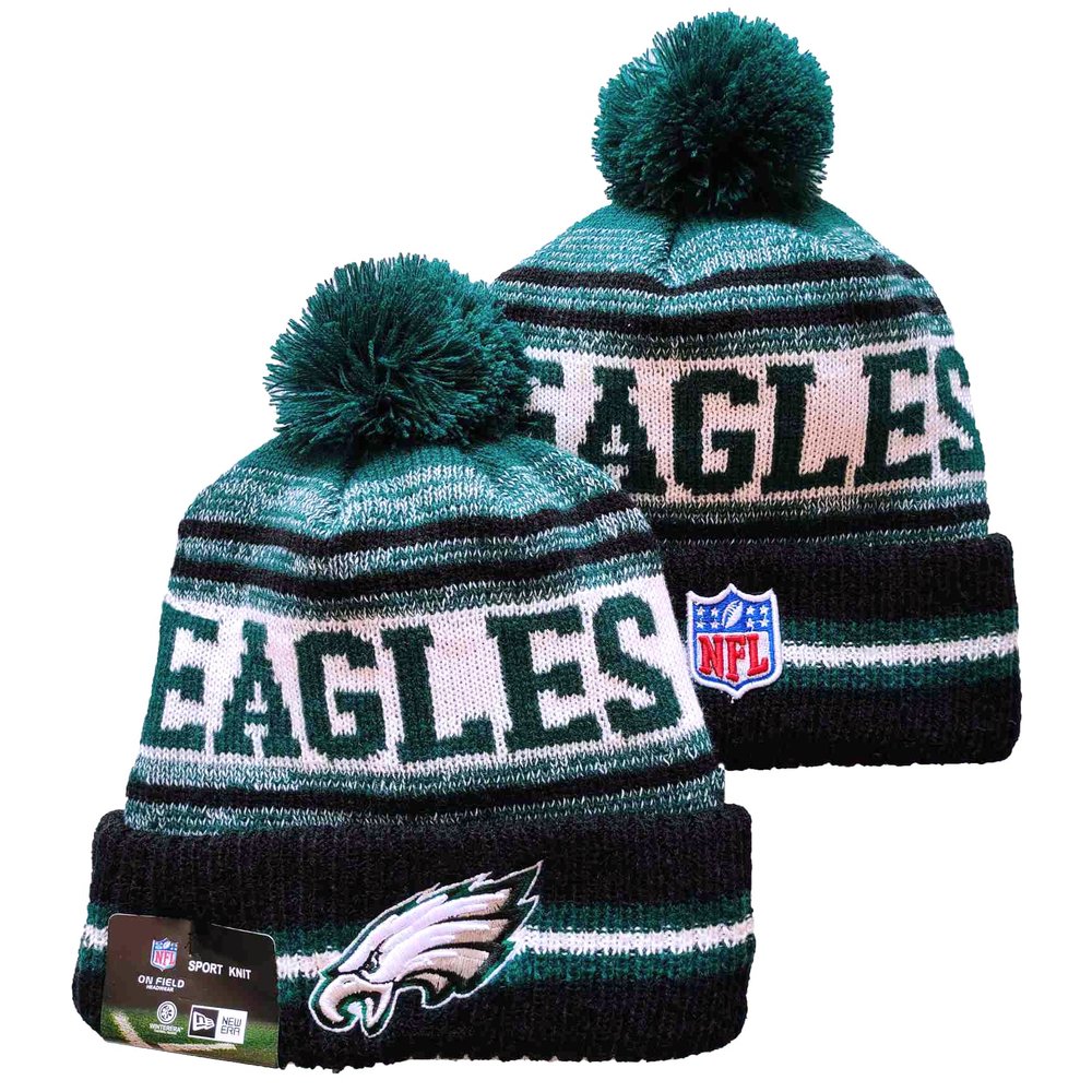 Philadelphia Eagles Beanies Knit Hat 1