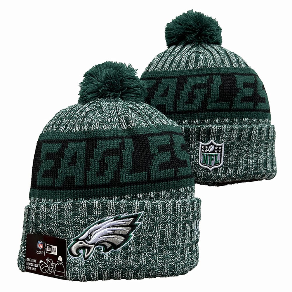 Philadelphia Eagles Beanies Knit Hat 1