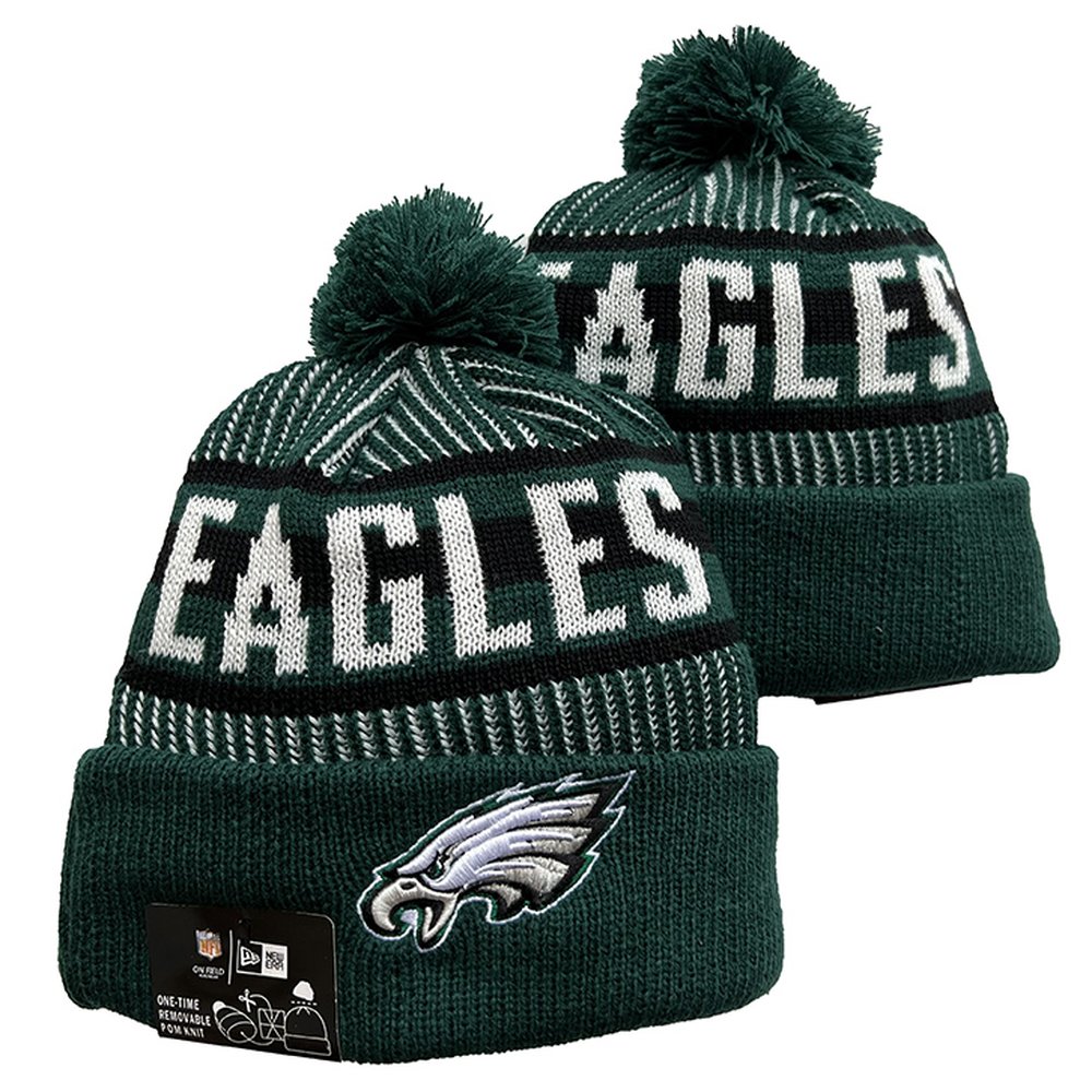 Philadelphia Eagles Beanies Knit Hat 1