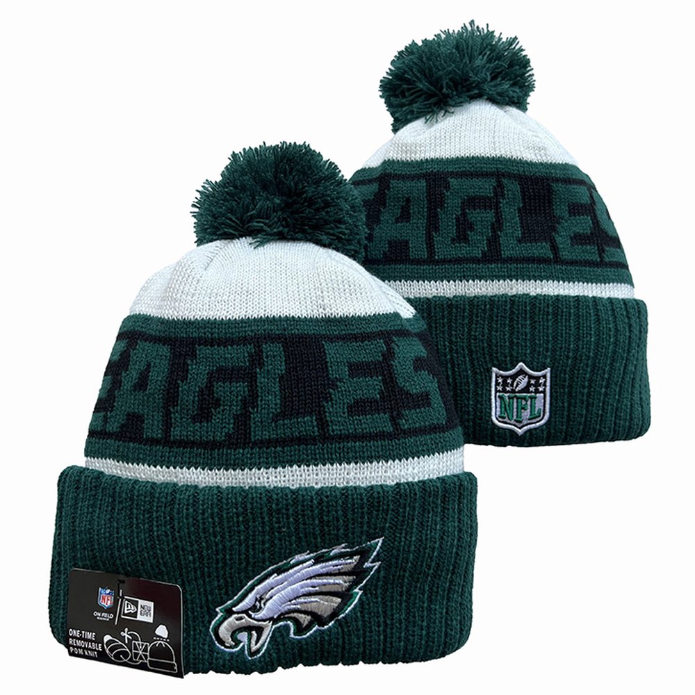 Philadelphia Eagles Beanies Knit Hat 1