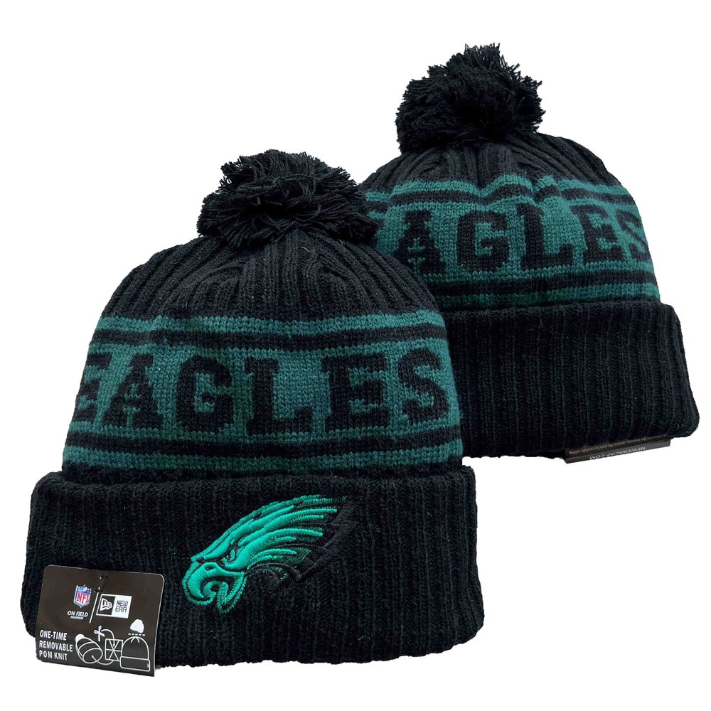 Philadelphia Eagles Beanies Knit Hat 1