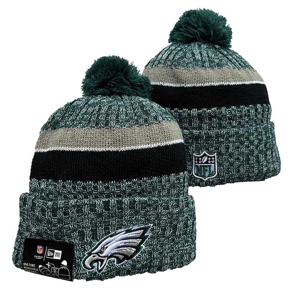 Philadelphia Eagles Beanies Knit Hat 1