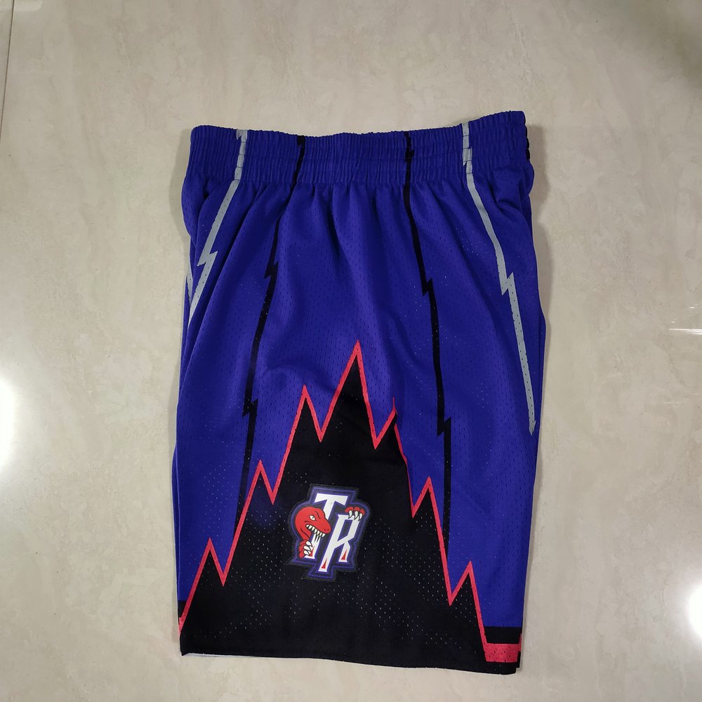 Toronto Raptors Purple Shorts 2