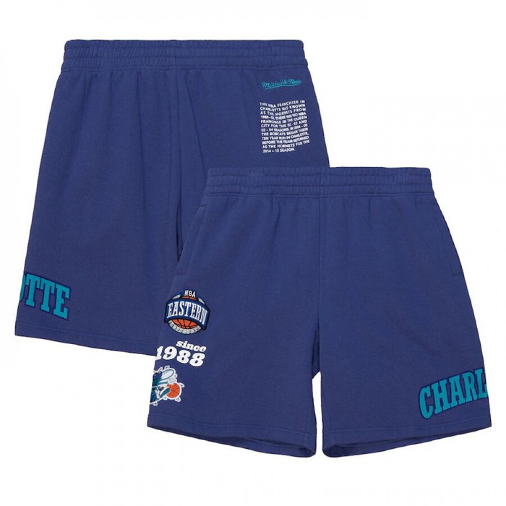 Men's Charlotte Hornets Purple Shorts 1