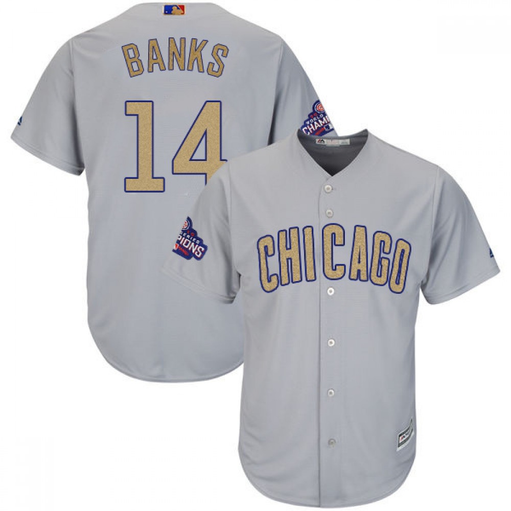 Men's Chicago Cubs #14 Ernie Banks World Series Champions Grey Program Cool Base Stitched MLB Jersey 1